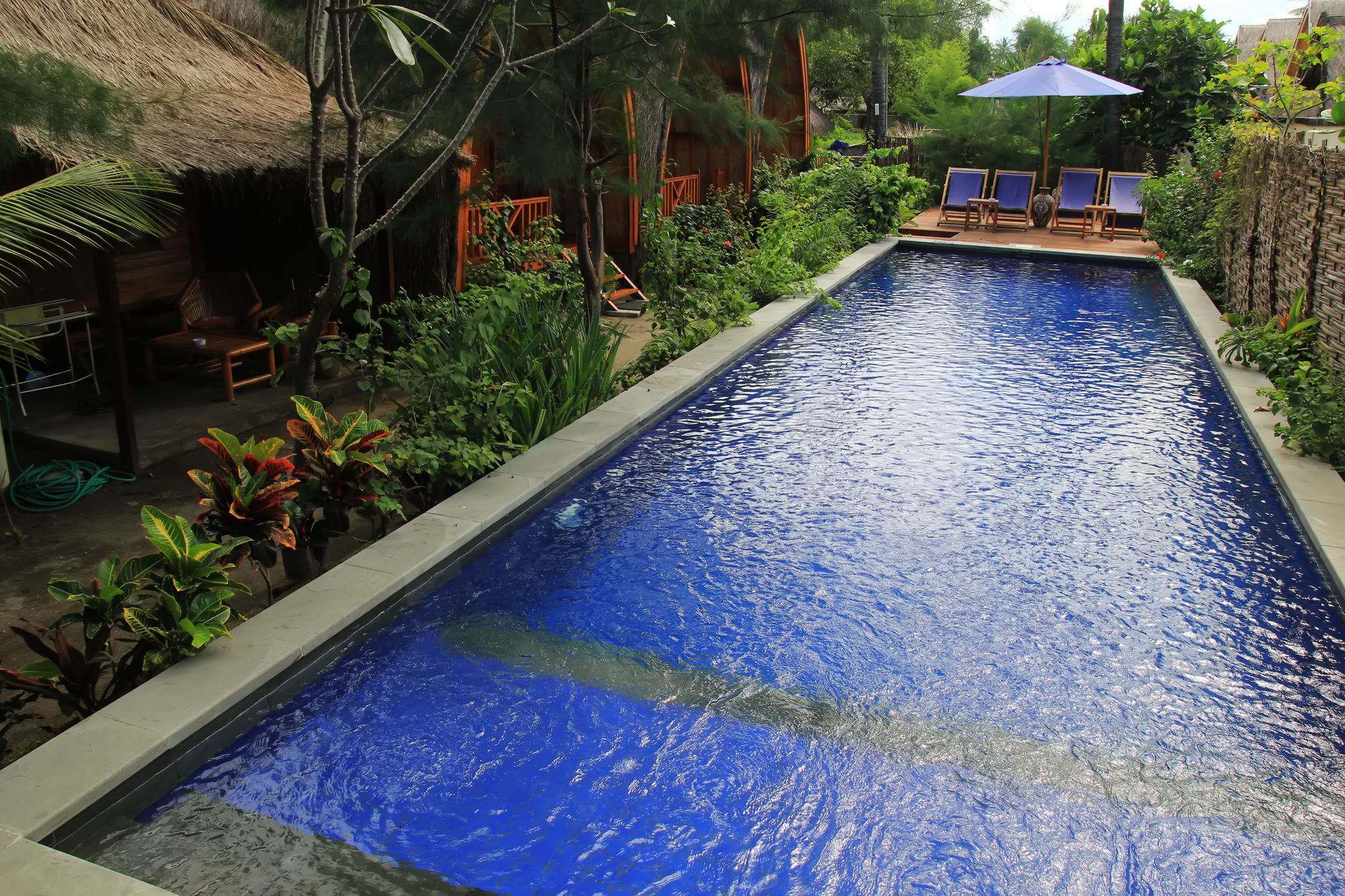 Damai Bungalows 吉利阿尔 外观 照片